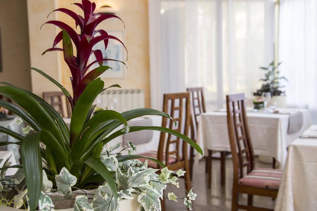 ריצ'יונה Hotel Rita מראה חיצוני תמונה